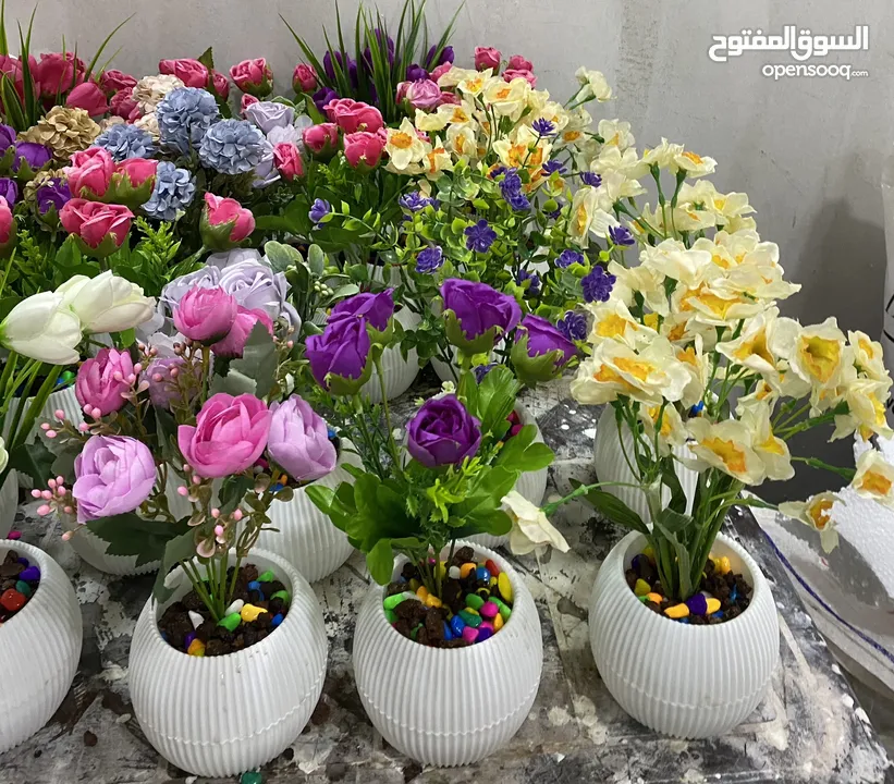 شروة مكرمة و قوار ورد