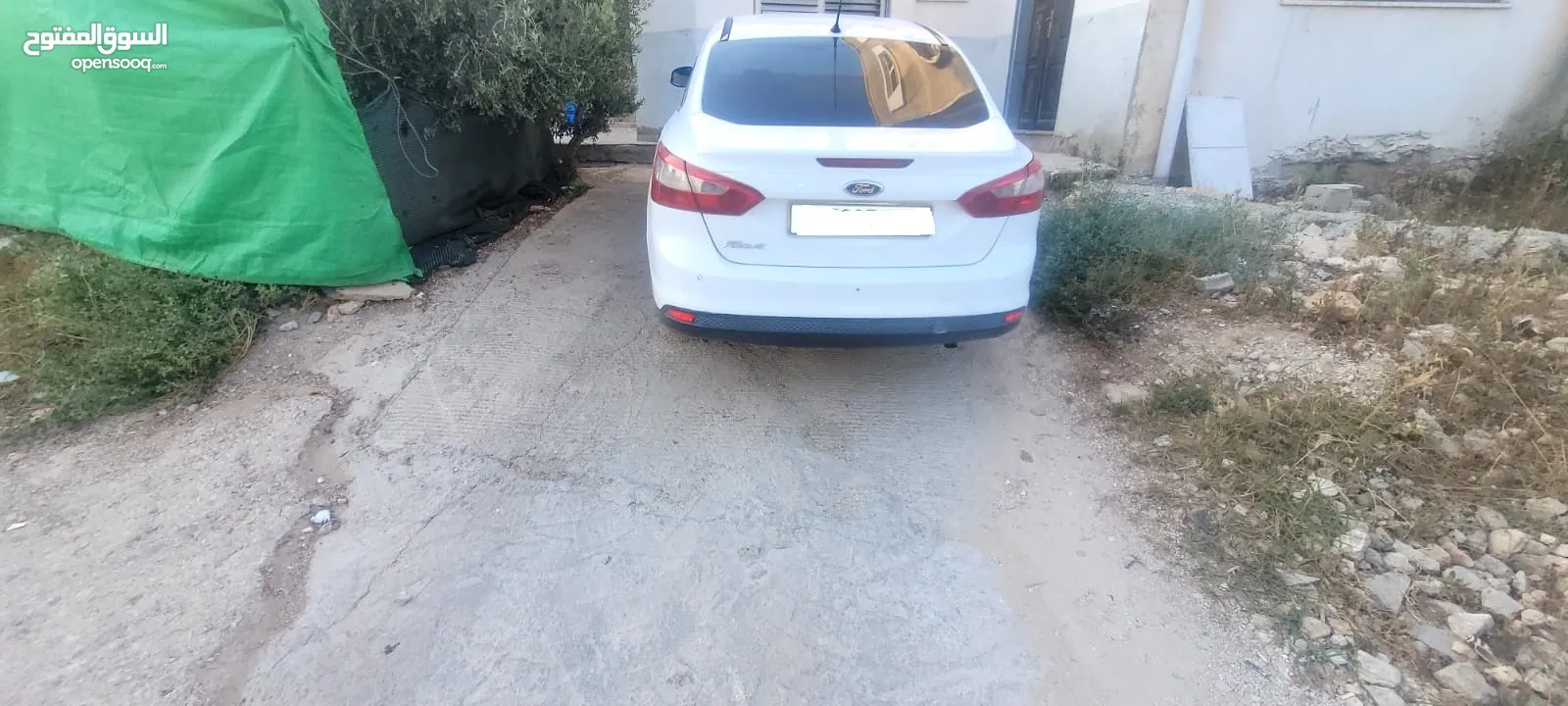 فورد فوكس 2025