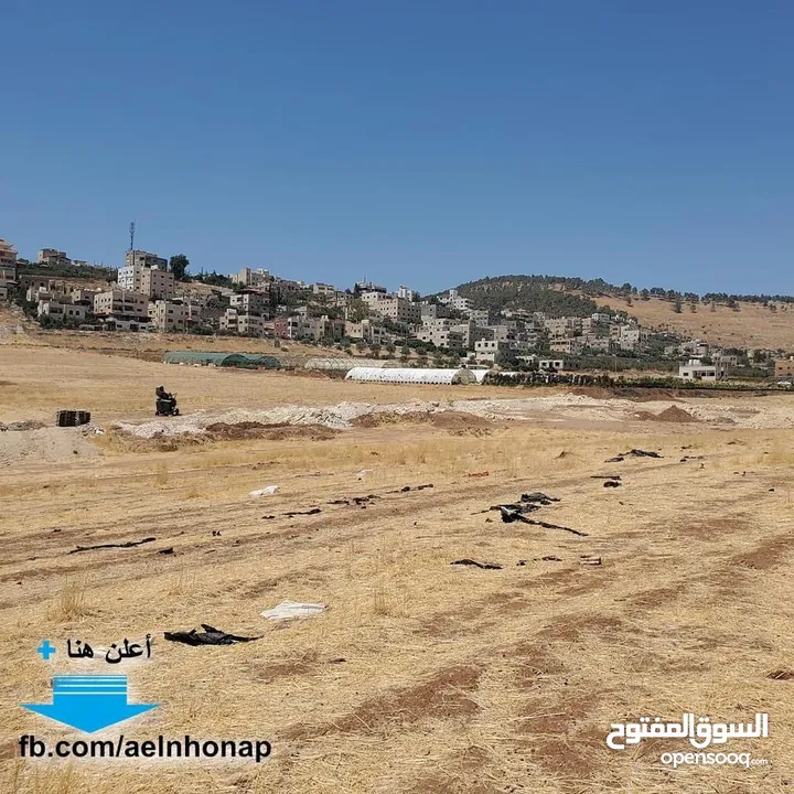 قطعة أرض مفروزة سكنية مميزة للبيع في منطقة أم الدنانير  من أراضي شمال عمان من المالك مباشرة