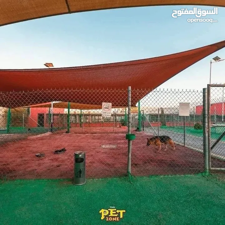 احجز لاقامه كلبك وراحته