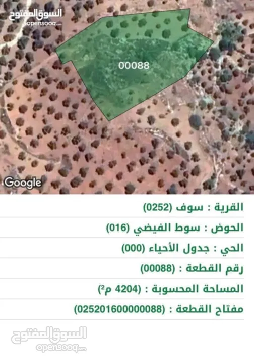 قطعة أرض في جرش سوف للبيع