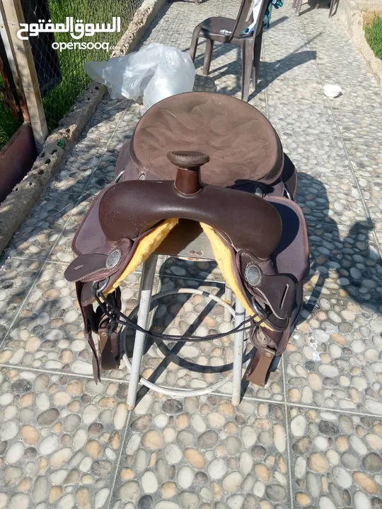 سرج مكسيكي للبيع استخدام شيء بسيط