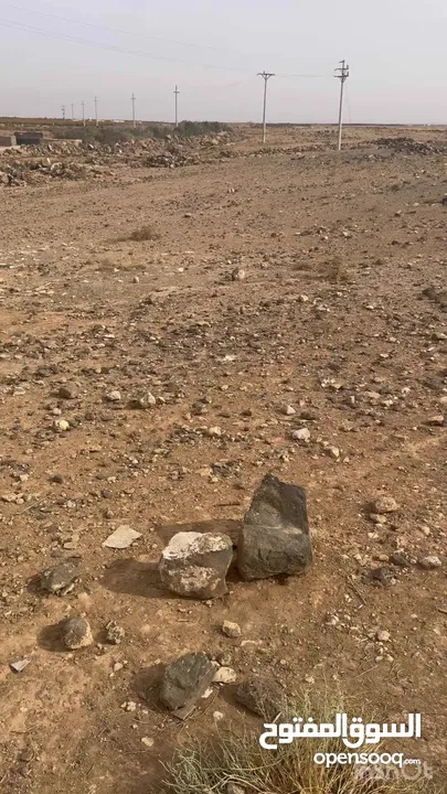 638 متر في ام السرب داخل التنظيم