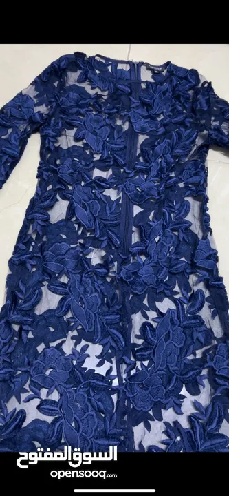 Navy blue net embroidery dress