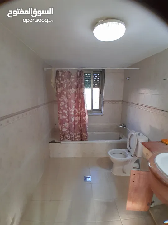 شقة للإيجار