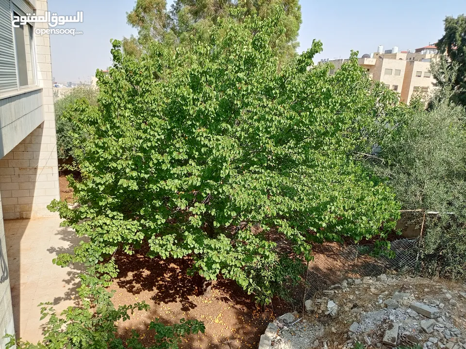 منزل شبه فيلا للايجار يصلح لعمل حضانه او روضه او مركز تحفيظ قرآن او شركه والعديد من الأعمال التجاريه