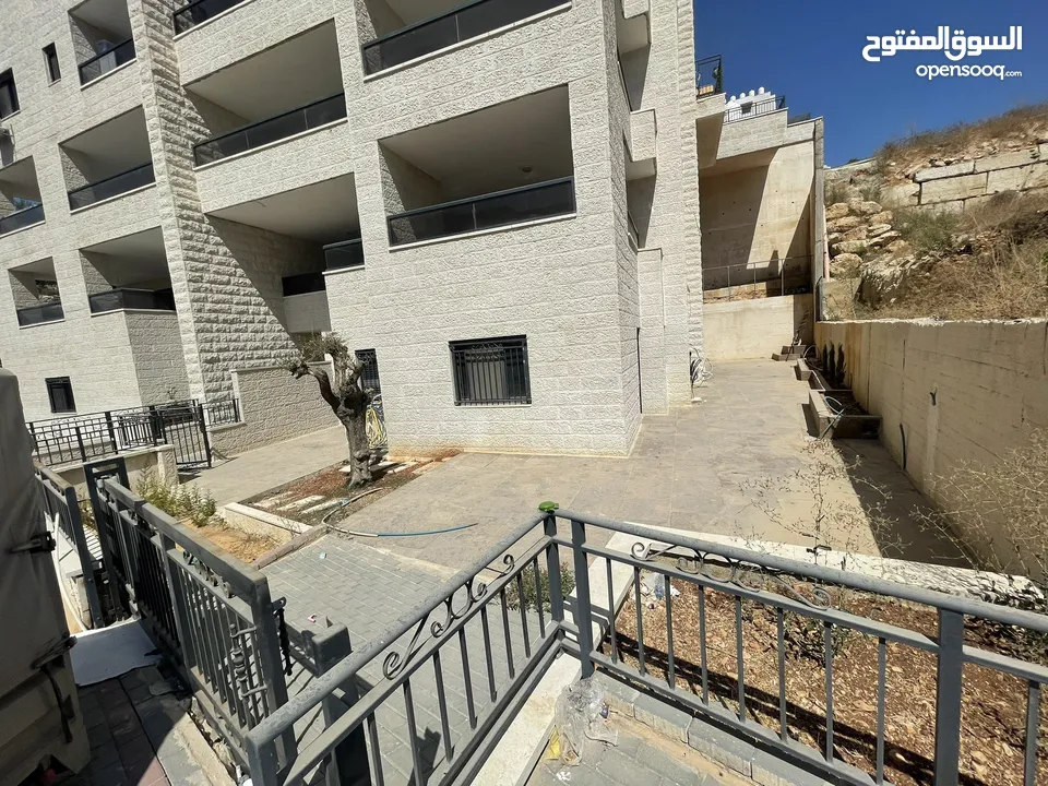 مرح صافي بال فايندر