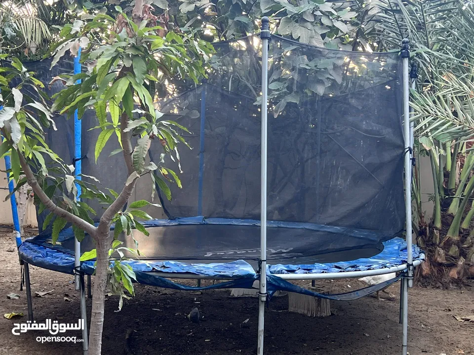 نطاطية Trampoline