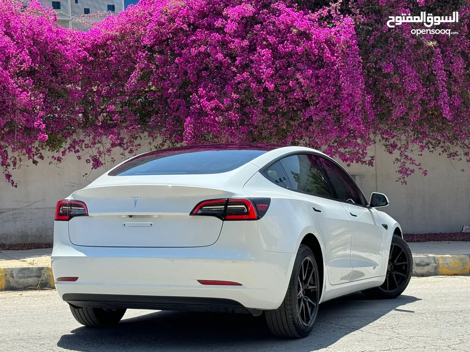 Tesla Model 3 Standerd Plus 2021 تيسلا فحص كامل بسعر مغررري جدددا
