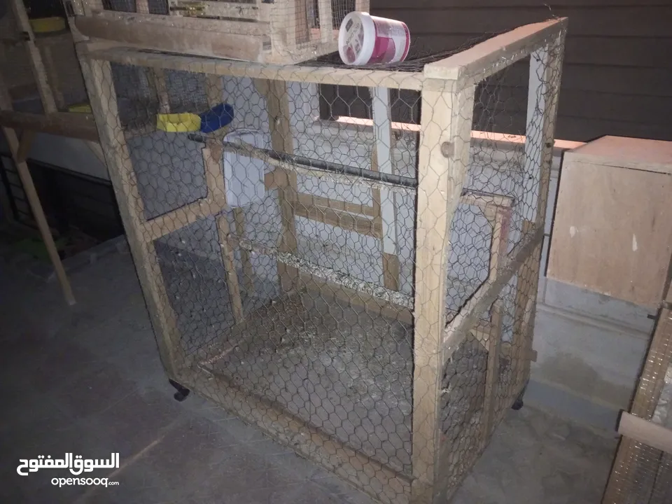 قنون طيور بحال الجديد للبيع