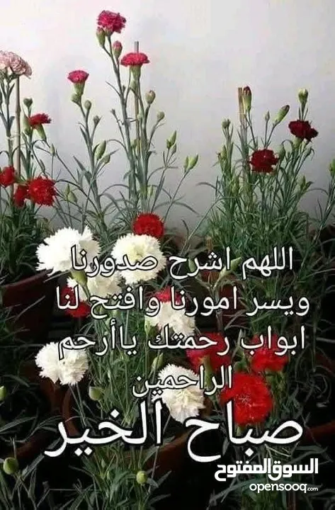 شقة للبيع ضاحية الياسمين