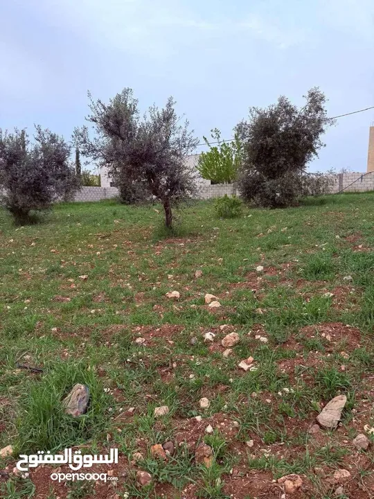 قطعة ارض سكنية في ناعور للبيع