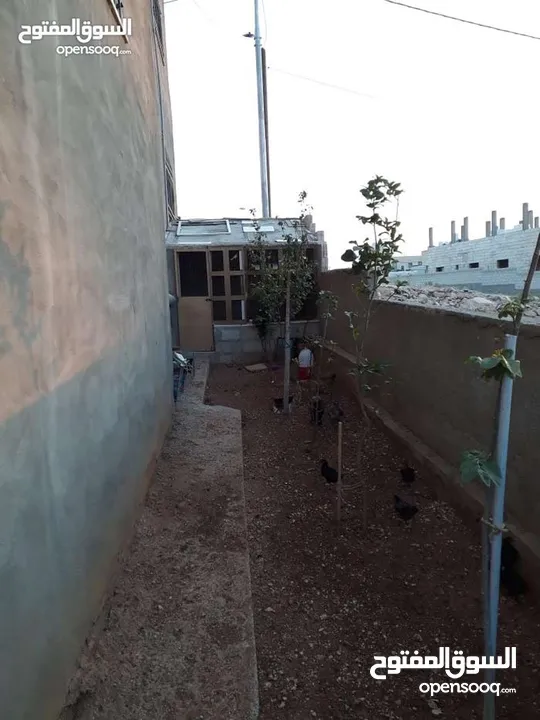 عماره للبيع