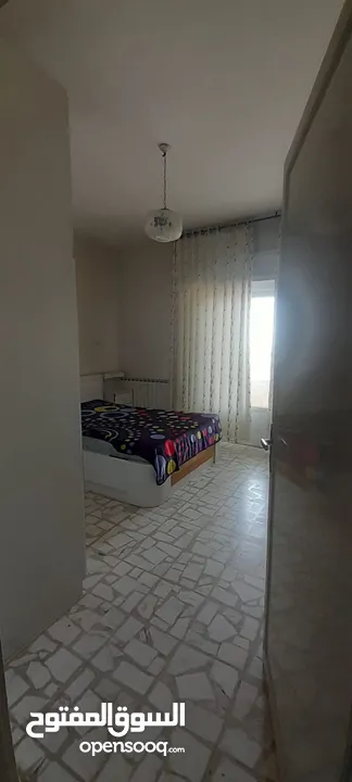 شقة مفروشة للايجار
