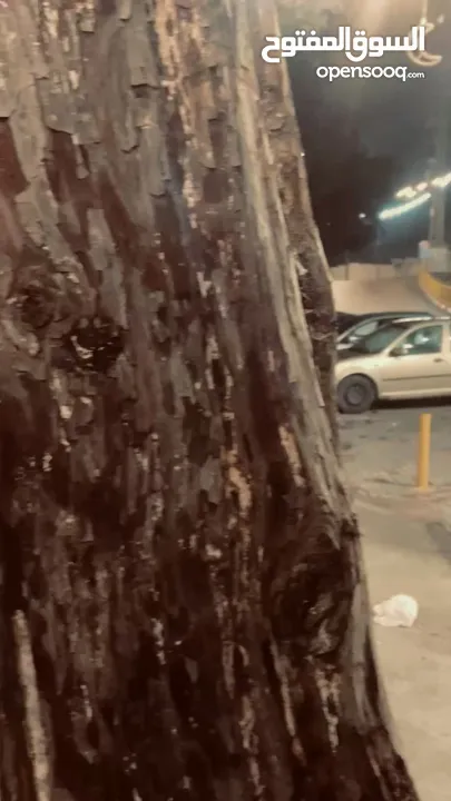 Sym 125 للبيع موديل 2014