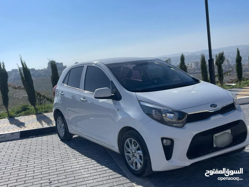 كيا بيكانتو 2019 فل اضافات