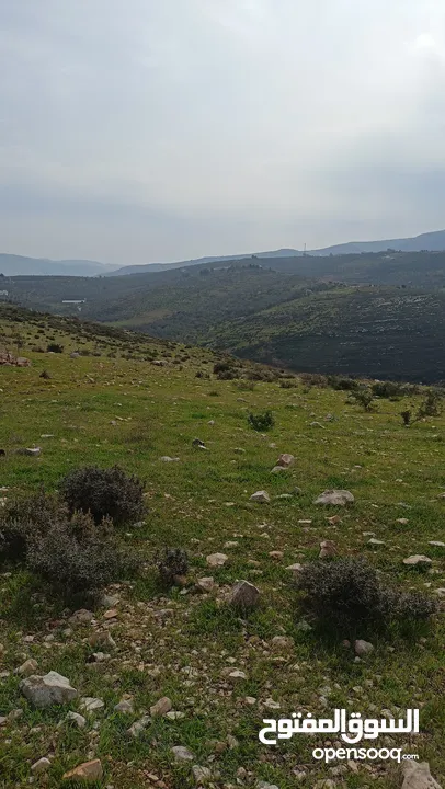 ارض تصنيف A للبيع مناسبه للأستثمار والسكن