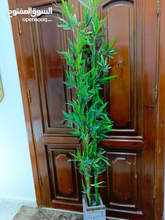 أشجار صناعي بجذع طبيعي شامل القوار