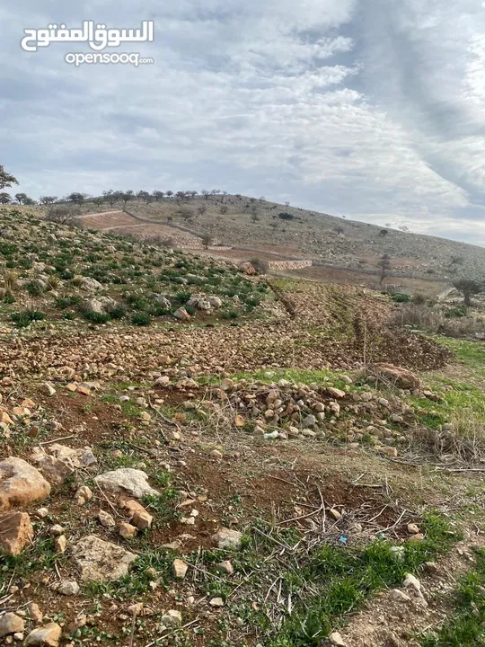 14 قطعة أرض في أجمل مناطق كفرنجه في عجلون