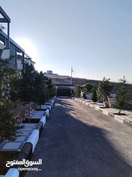 مزروعة مميزة محاذية للحرش مرتفعة وكاشفة