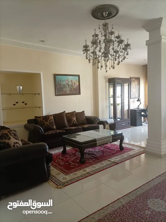 220+ m2 Luxury Fully Furnished - For Rent