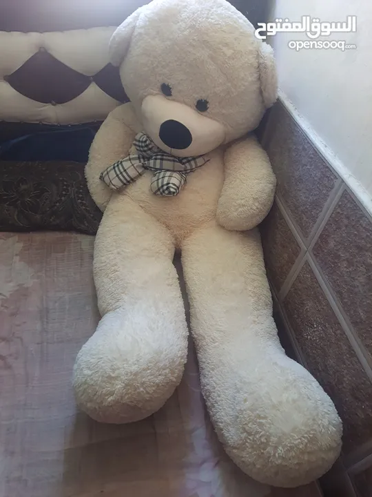دبدوب طول 180 بسعر حرق