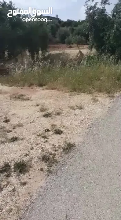 بيع قطعه ارض
