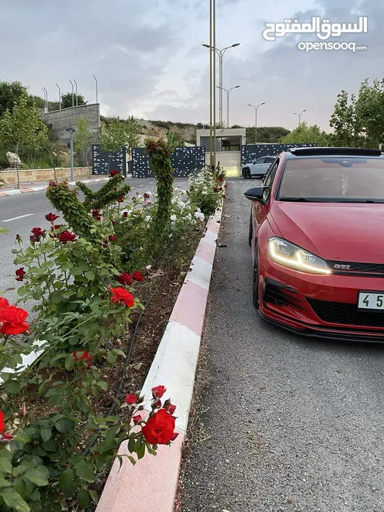 جولف جي تي اي للبدل على سيارة ديزل موديل عالي فوق 19