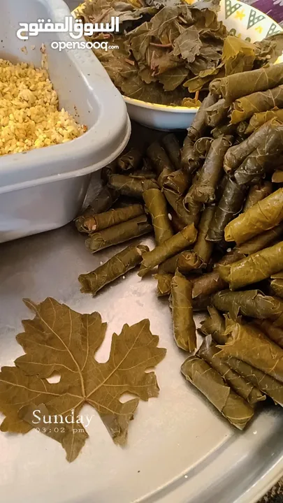 جاج محشي دوالي ....اوزي & مقلوبة  تواصل واتساب تواصي طبخ بيتي