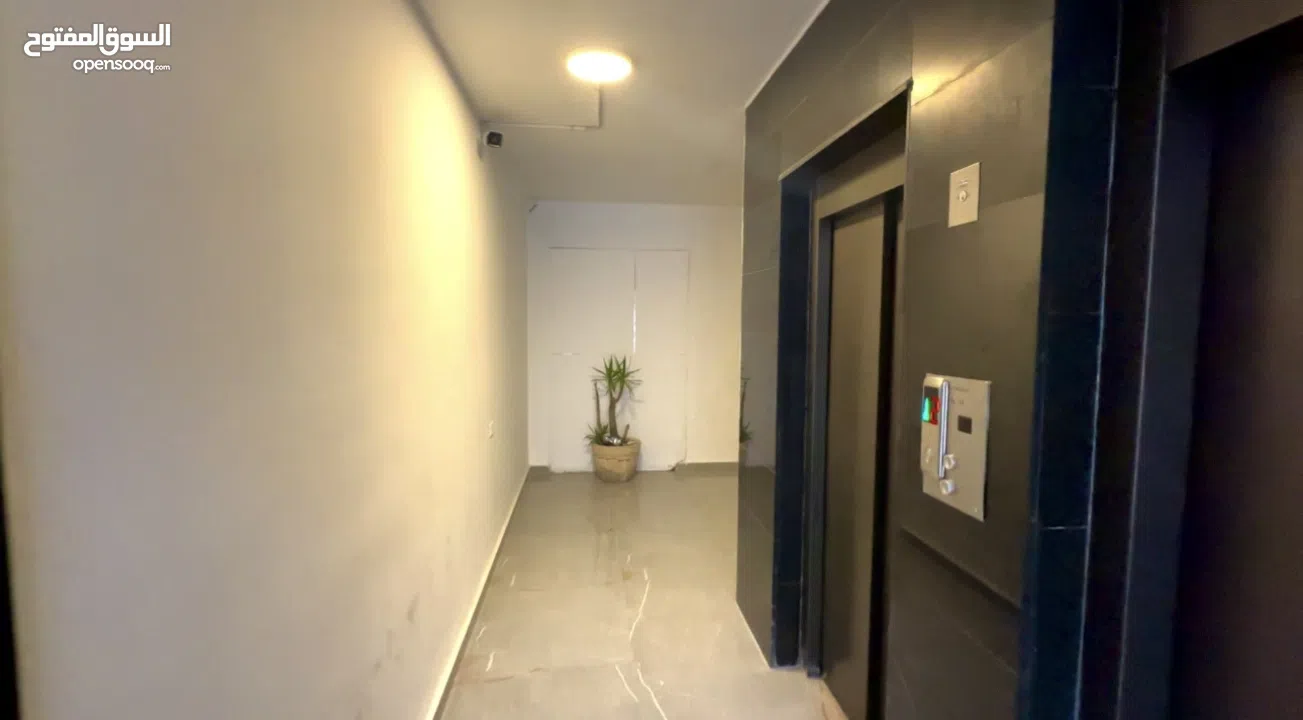 استأجر مكتبك 250 دولار شهرياً