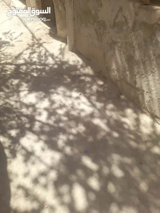 بيت للبيع المستعجل بسعر مغري 25000 قابل للتفاوض