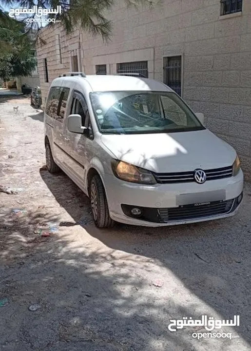 كادي شصي طويل 2015