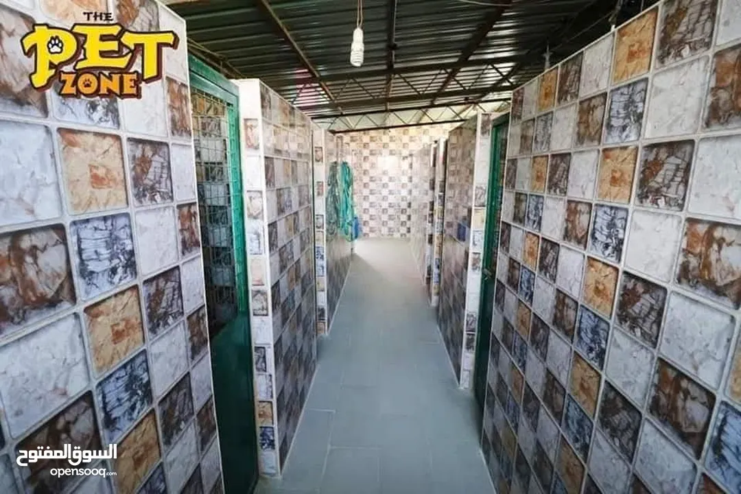 درّب كلبك الآن ...اكبر مركز لتدريب الكلاب