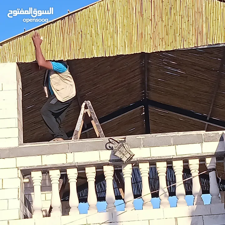 قصيب أخضر واصفر لتزيين الحدائق والمنتزهات والجلسات الخارجيه والاطلالات والمشاتل