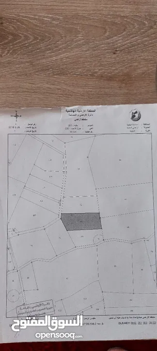 ارض في الطفيلة العيص للبيع