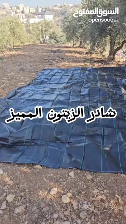 شادر زيتون