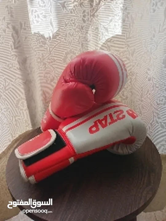 boxing gloves (2tuf 2tap)