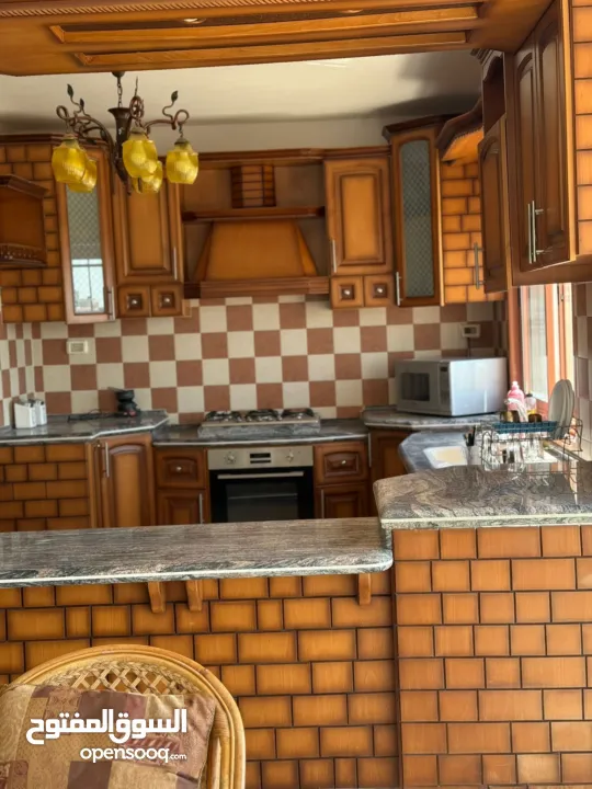 شقة مفروشة / الماصيون