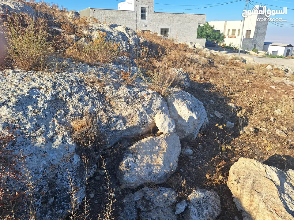 قطعه ارض متميزه سكنيه 600 م مطلة على الغرب