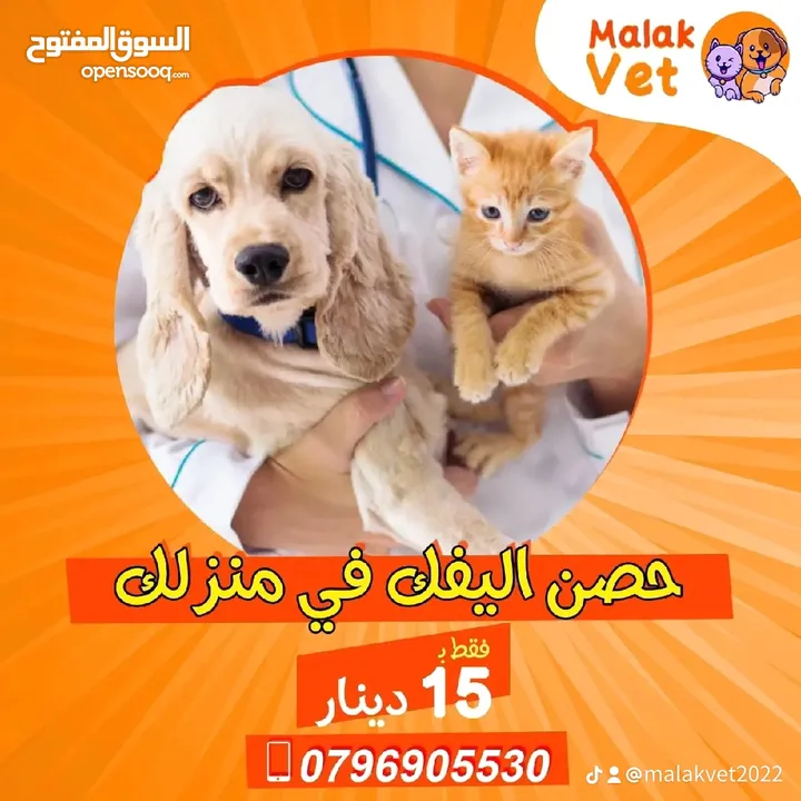 خدمات بيطرية متكاملة للحيوانات الاليفة