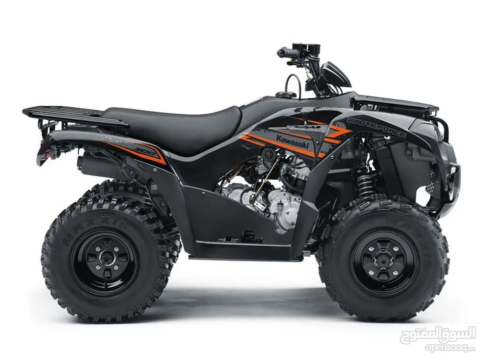 Kawasaki BRUTE FORCE 300