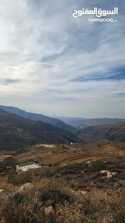 ارض للبيع في ناعور ام العريجات مساحه 960 م موقع مميز بانوراما مطله على جهه الشرقيه غربيه شارع 16
