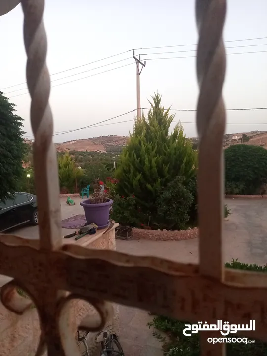 مزرعة وفلة للبيع بموقع ممتاز