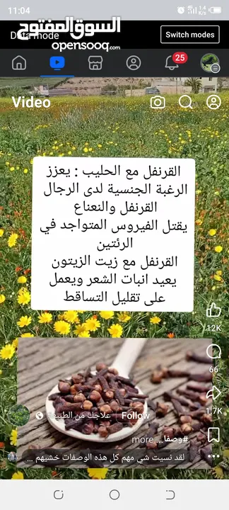 مدفأة كهربائيه على شكل رديتر