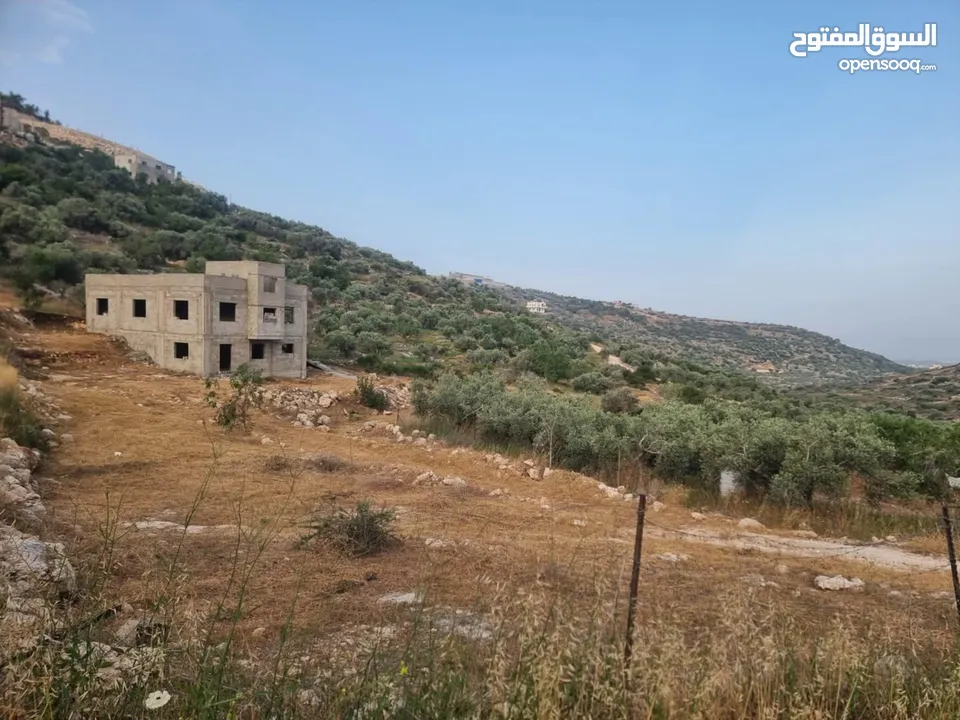 فرصة ارض للبيع بسعر مغري في طولكرم
