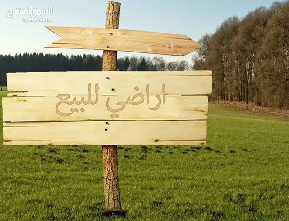 اراض للبيع على شارع الرئيسي بيت وزن