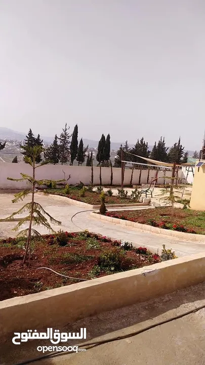 احجز معنا في مزرعه ماريا (جرش) احلا اطلاله بانوراميه خلابه على جبال سوف والسلط وعمان في منطقة هادئة