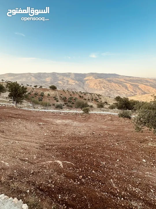 أرض مميزه _الصبيحي _ بيوضه الشماليه