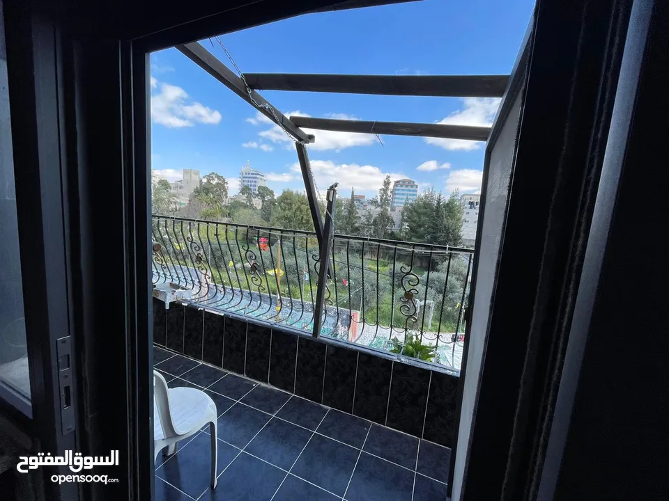 وسيم المقدسي