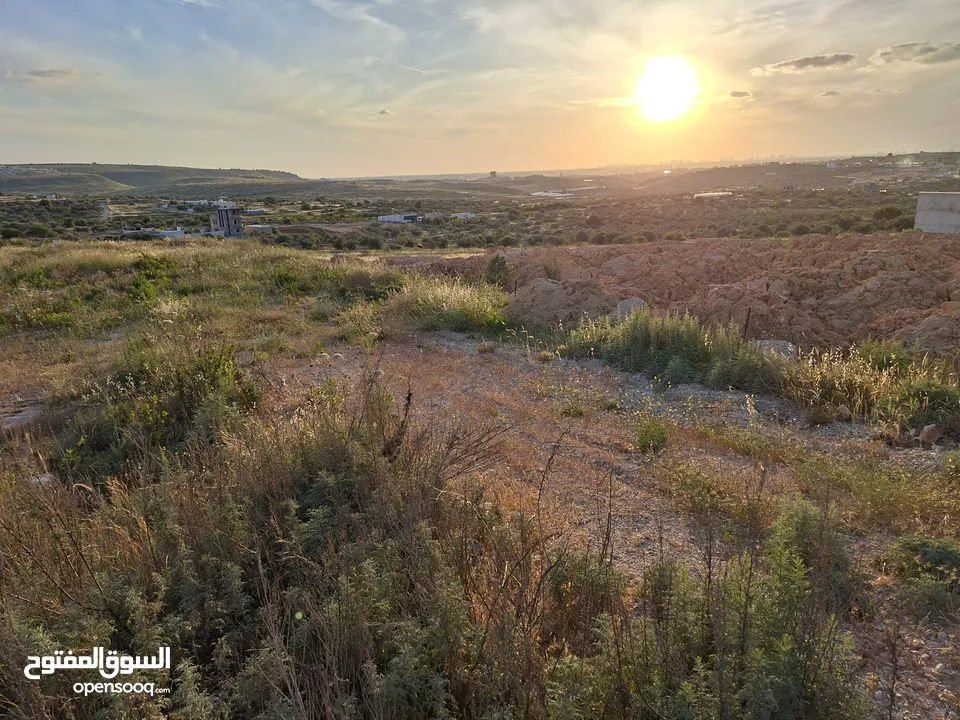 دونمين ارض طابوا فلسطنيني عاى الشارع الرئيسي مباشرة طولكرم الراس